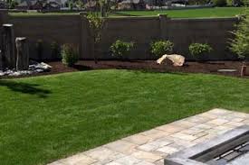 We bought a new home, years ago and there were earwigs all over the place. Landscape Maintenance Lawn Care Salt Lake City Ut Area Landscape Solutions