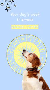 Your Dog S Weekly Horoscope 2020 March 16 22 Dog Food Container Dog Food Storage Containers Dog Food Storage