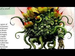 Beginning as a seedling, they quickly grow to a large size within the course of weeks before ripping itself free of the ground. D D Corpse Flower 5e Youtube