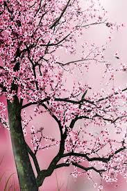 Looking for the best cherry blossom tree wallpaper? Cherry Tree Iphone Wallpaper Fondos De Pantalla De Iphone Fondos Para Iphone Fondos De Pantalls
