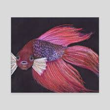 The dragon scale betta fish has a strong full bodied color with body scales resembling those of a lizard or a dragon. Solomon The Dragonscale Betta Fish An Art Canvas By Michelle Elizondo Inprnt