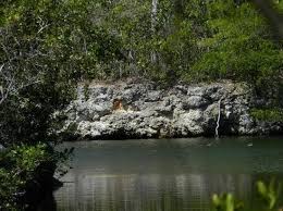 Find the best deals on key largo hammocks state botanical site vacation packages, backed by our daily hot rate deals. Dagny Johnson Key Largo Hammock Botanical State Park 2021 All You Need To Know Before You Go With Photos Key Largo Fl Tripadvisor