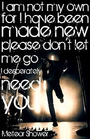 Owl City Meteor Shower Owl City Lyrics Owl City Songs Owl City