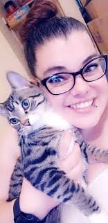 Found tabby cat near Whole Foods in Lynnwood