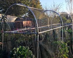 Check spelling or type a new query. Domed Fruit Cage With Netting Gardening Naturally