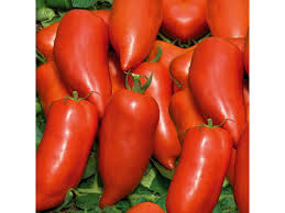 I peperoni presentano buona quantità di vitamina c; Pomodoro A Corno F1 Cornabel Vaschetta Da 4 Piante Societa Agricola Il Sumenzat