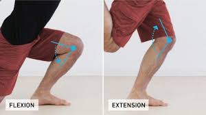 Pin On Knee Exercises