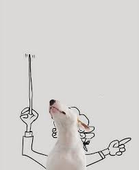 Creative Union Brazilian Illustrator Rafael Mantesso And His Dog Jimmy The Charming Zhurnal Yarmarki Masterov Bull Terrier Bull Terrier Dog Silly Animals