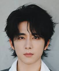 Zhang Xin Cheng (张新成) - MyDramaList