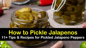We did not find results for: 11 Tips Recipes For How To Best Pickle Jalapenos