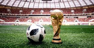 Meciurile de la campionatul mondial de fotbal vor putea fi vazute cu ajutorul televiziunii digitale terestre : The Dark Horse World Cup Sportslife Nigeria