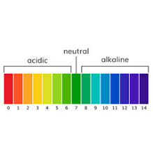 Ph Scale Alkaline Water Vector Images 56