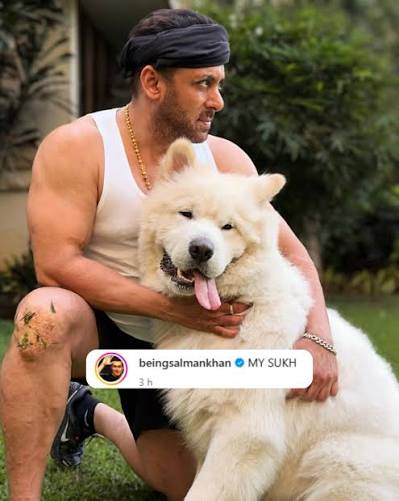 Salman has a deep love for animals. His dogs (including My son and My Jaan) were family. This is the pic with his another pet dog ‘My Sukh.’