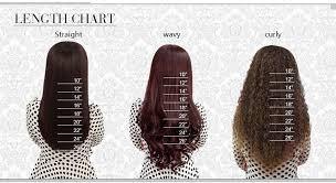 6a Brazilian Hair Full Lace Human Hair Wigs Brazilian Body