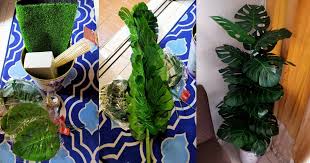 Sebab masa tu rumah aku belom renovate, jadi. Projek Pokok Hiasan Bajet Modal Kecil Senang Nak Jaga Pa Ma