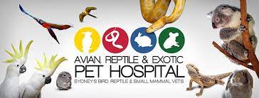 Check spelling or type a new query. Avian Reptile And Exotic Pet Hospital Home Facebook