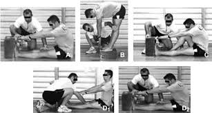 The sit and reach test measures the flexibility of your hamstrings and lower back. Sit And Reach Protocols Used In This Study A Sit And Reach Test B Download Scientific Diagram