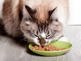 How To Calculate The Carbs In Your Cats Food