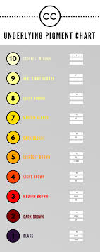Underlying Pigment Chart Cc Hair Studio