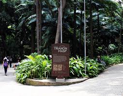 Taken in são paulo, brazil on september 19 of 2008. Treaty Of Trianon Projects Photos Videos Logos Illustrations And Branding On Behance