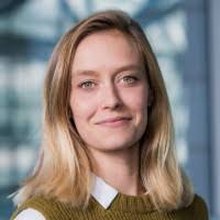 900+ Profile mit dem Suchbegriff „Mallet“