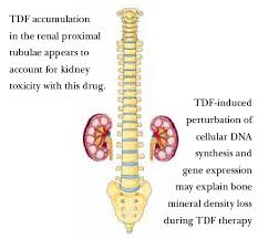 Weighing Risks Of Tdf Ftc Prep Side Effects In People Without Hiv