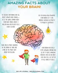 How To Explain Growth Mindset To Kids Neuroplasticity Activities Growth Mindset Neuroplasticity Growth Mindset For Kids