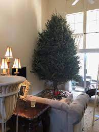 Severts Christmas Tree Farm Home Facebook