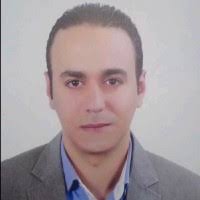 100+ "Amr Farag" profiles