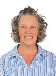 Lemonade Language Academy Online