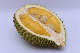 Kami menyediakan bibit pohon durian musang king unggul, murah, berkualitas dan bergaransi kaki tiga dan tunggal. Asal Usul Durian Musang King Yang Paling Laris Binary Options
