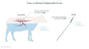 Confidentialité et conditions d'utilisation aide envoyer des commentaires à propos de google. La Terre Une Planete Abritant La Vie Fiche De Cours Svt Schoolmouv