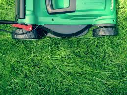 Shop for lawn care & maintenance at tractor supply. The Best Way To Advertise Lawn Care Products Salesfuel