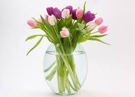 How to take care of flowers in a vase. Useful Tips For Growing Real Tulips Flower Vases Tulips In Vase Tulip Bouquet