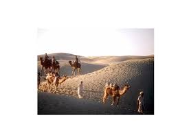 While we don't know a lot about planets far from earth, scientists has a sand storm killed any one? Camels There Are Two Different Types Of Camel