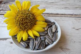 Matahari merupakan sumber cahaya sekaligus sumber energi panas terbesar yang dapat dimanfaatkan sebagai energi alternatif. Bahan Alami Tinggi Vitamin E Untuk Kulit Sehat Dan Cerah Natur E