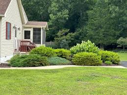 Barbara Aro (@arobabalu) • Instagram photos and videos