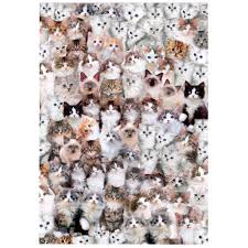 Check spelling or type a new query. Jigsaw Puzzles 1000 Pieces For Adults 70x50cm Finished Size Cat World Buy Online In Andorra At Andorra Desertcart Com Productid 199658222