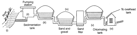 Wastewater Story Class 7 Extra Questions Science Chapter 18 Learn Cbse
