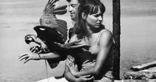 Birds Of Prey 2020 Rotten Tomatoes Anna Karina Pictures Rotten Tomatoes Imaginarium