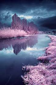 If you have your own one, just create an account on the website and upload a picture. Pink Nature Wallpapers Desktop Background