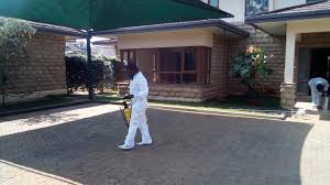 Pest control services on junk mail in pretoria city. Best Fumigation Pest Control Services Company In Nairobi Kenya Gm