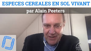 Semis direct sous couvert permanent