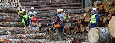 Stora enso oyj is a pulp and paper manufacturer headquartered in helsinki, finland, with significant operations in four continents. Experiences From The First Company To Pioneer The New Fsc Controlled Wood Standard Stora Enso Wood Supply Russia Preferred By Nature Global