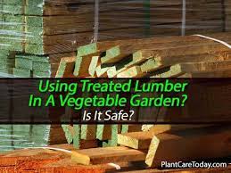 This planter box is made from treated lumber. Should Pressure Treated Lumber Be Used In A Vegetable Garden