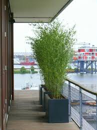 Terras Veranda Terras Veranda Balkonblumen Terras Veranda Terras Veranda Terrasse Pflanzen Bepflanzung Garten Terrasse