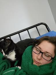 Cat named Taz missing in Bridgeland area