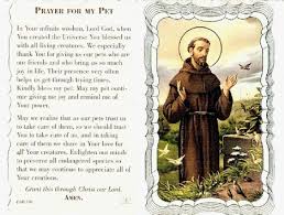 A beautiful meditation accompanied by birds flying round a tranquil lake Prayer For My Pet Linen Prayer Card