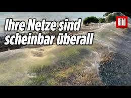 Immer aktuell alle daten zu neuansteckungen, genesenen und todesfällen innerhalb der schweiz und dem ausland. Passagiere In Lebensgefahr Boot Hangt Uber Damm Usa