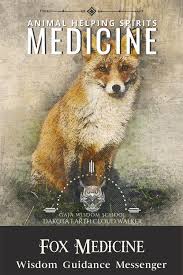 Fox Medicine Animal Medicine Spirit Animal Soul Family
